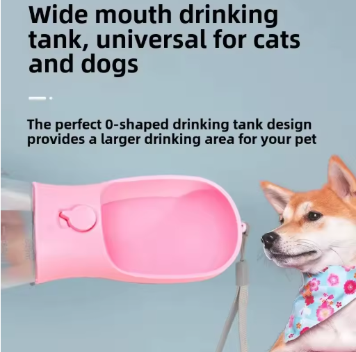3 IN 1 WATER BOTTLE