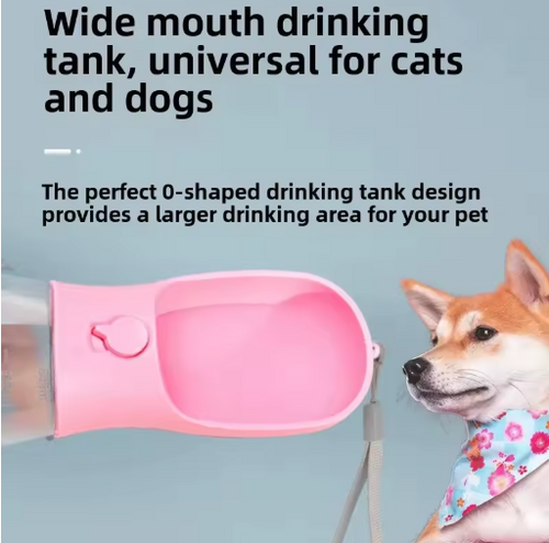 3 IN 1 WATER BOTTLE